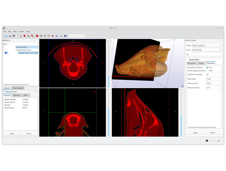 A pig CT image in CamiTK 